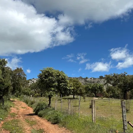 La Casa Del Pueblo Con Piscina Y Barbacoa Σπίτι διακοπών