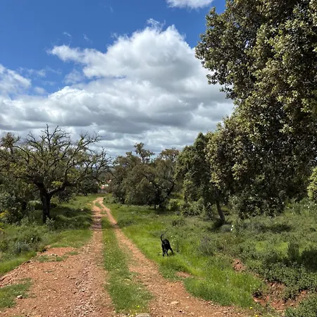 Casa de Férias La Casa Del Pueblo Con Piscina Y Barbacoa Rincon de Ballesteros