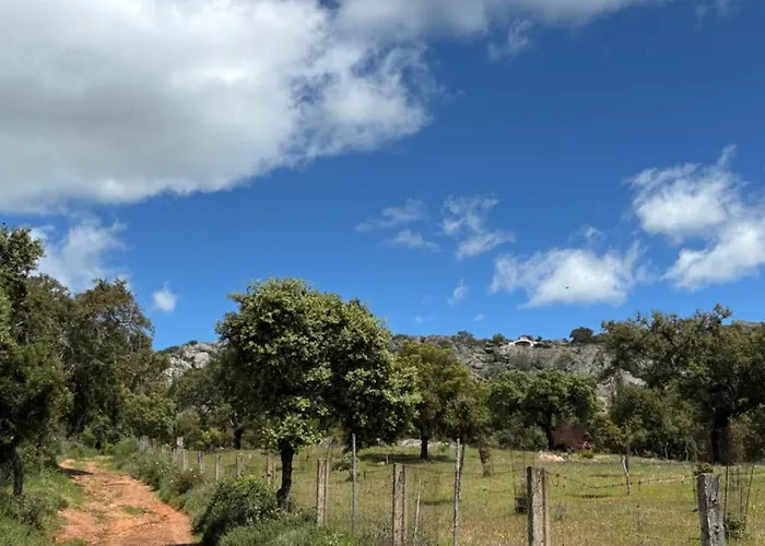 La Casa Del Pueblo Con Piscina Y Barbacoa Casa de Férias