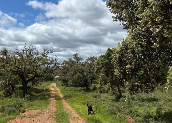 Semesterbostad La Casa Del Pueblo Con Piscina Y Barbacoa Rincon de Ballesteros